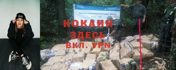 крисы Аркадак