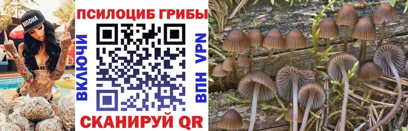 omg как зайти  Сенгилей  Галлюциногенные грибы MAGIC MUSHROOMS 